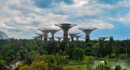 7 parques ecoturísticos en México para disfrutar de una aventura en la naturaleza