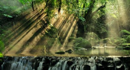 ¿Conoces Las Pozas en Xilitla? Un verdadero paraíso entre la selva y aguas cristalinas