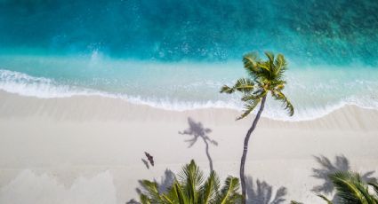 'Blue Flag', ¿qué significa y cuáles son las playas de Quintana Roo que tienen esta certificación?