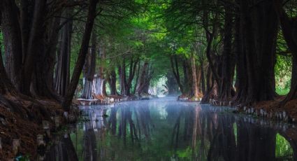 De la Isla de la Muñecas hasta pasear en Kayak: 5 imperdibles de viaje por Xochimilco