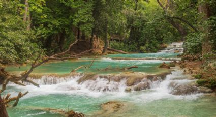 Vacaciones en Chiapas: Haz una ruta de Pueblos Mágicos, cascadas y zonas arqueológicas entre la selva