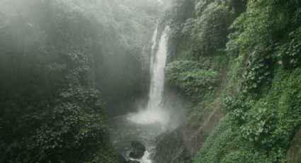 Las cascadas más altas en México para un viaje de aventura en estas vacaciones