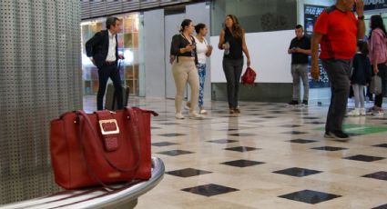 ¿Viajarás en avión? Lo que debes hacer en caso de sismo si estás en el AICM