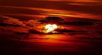 ¿Regresa la onda de calor? El Niño, el fenómeno climático que provocará calor intenso y sequías