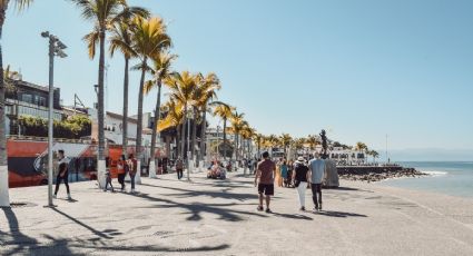 Los sitios naturales para conocer en Puerto Vallarta estas vacaciones de verano