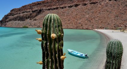 Las playas más bellas de La Paz, Baja California que debes visitar este verano