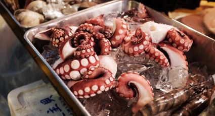 ¿Vacaciones en la playa? La razón por la que no debes comer mariscos en meses sin “R”