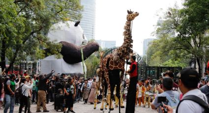 ¿Qué guardaron? Zoológico de Chapultepec celebra 100 años con cápsula que abrirá en 2048