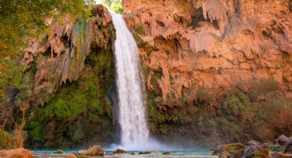 Las cascadas en medio del desierto que debes conocer este Verano en Baja California Sur