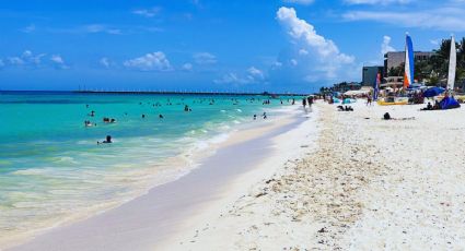 ¿Cuáles son las playas con y sin SARGAZO hoy 01 de agosto de 2023? MAPA