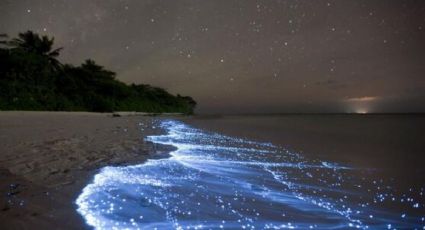 5 destinos para disfrutar de playas bioluminiscentes en estas vacaciones de verano 2023