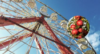 ¿Cómo llegar a la Feria de la Manzana en Zacatlán desde la CDMX en transporte público?