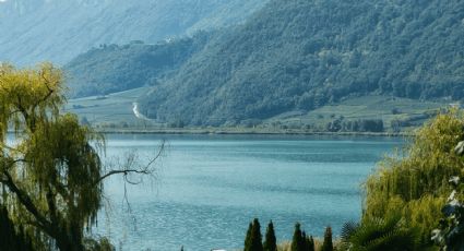 ¿Se aproxima un terremoto? Captan a peces saltando de un lago, fenómeno que ‘predice’ desastres naturales