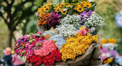 ¿Sin plan? Festival de las Flores de Verano llega a la CDMX para que decores tu hogar