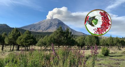 No solo en Puebla, lugares en el Estado de México para comer chiles en nogada