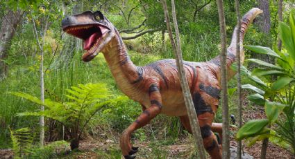 Chimalpark: Visita el Parque de Dinosaurios donde los niños pagan entre 10 y 30 pesos