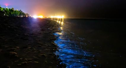 Las playas de bioluminiscencia en México en las que puedes disfrutar de este fenómeno