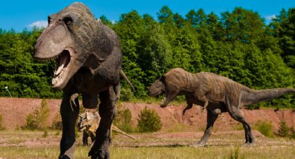 7 destinos para seguir la huella de los dinosaurios por México y el mundo