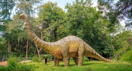 Iztapasauria, un parque con dinosaurios y entrada GRATIS para aprovechar las vacaciones