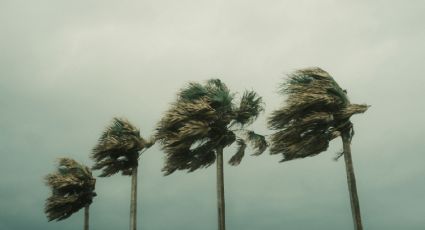 ¡No olvides el paraguas! Huracán Hilary ya es categoría 4 y provocará lluvias intensas