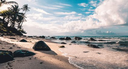 Isla Conchitas, el tesoro escondido de Veracruz por un misterioso laberinto de manglares