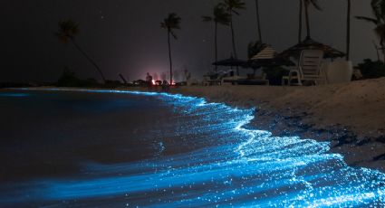 5 playas españolas para disfrutar de la bioluminiscencia en tu próximo viaje