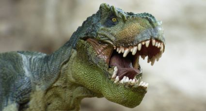 Jurassic Park en Puebla: Parques temáticos para caminar entre dinosaurios antes del regreso a clases