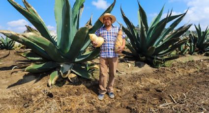 La ruta de haciendas pulqueras en Tlaxcala para disfrutar de la bebida de los dioses