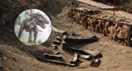 Conoce la huella que dejaron los dinosaurios en Coahuila hace 72 millones de años