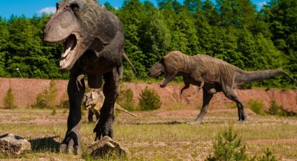 ¡Parque Jurásico en Pachuca, por menos de 50 pesos! Conoce a los gigantes que dominaron al mundo