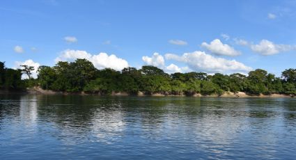 ¡Experiencia natural! Visita los hermosos paisajes  de Tabasco para vivir la aventura