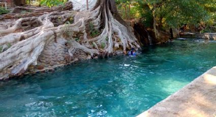 ¿Cómo llegar al balneario natural Las Tortugas desde la CDMX y refrescarte por menos de 80 pesos?