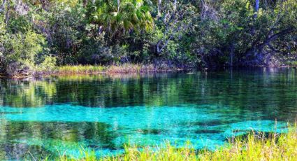 Paraíso Caxcán, el balneario de aguas termales que se ha convertido en el favorito por esta razón