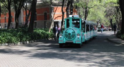 ¡Prepárate! Alistan ruta del Trenecito de Chapultepec en la Segunda Sección