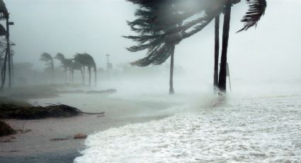 Huracán 'Idalia': Riesgo en Florida tras elevarse a categoría 2