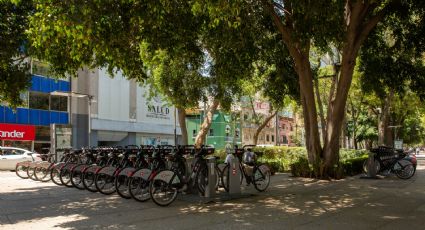 ¡Anímate a viajar en bici! Estas son las nuevas rutas, los precios y la forma de registrarse a Ecobici