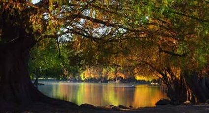 Camécuaro, el hermoso lago natural con ojos de agua cristalina y vistas naturales inigualables