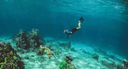 Los mejores destinos para hacer buceo y admirar las maravillas subacuáticas de México