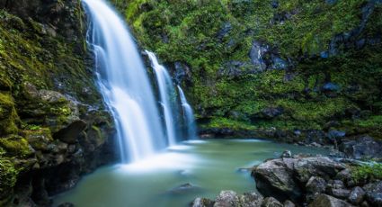 ¡Aguas cristalinas en Puebla! Cascada Las Golondrinas: una joya con caída de agua de 50 metros