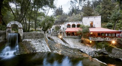 ¿Conoces este hotel boutique con cascada incluida? ¡Está a dos horas de la CDMX!