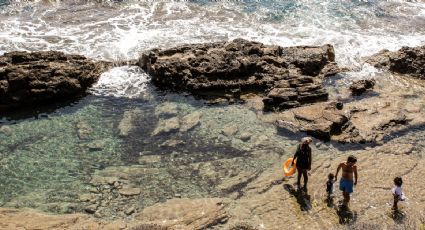 ¿De qué se trata? Una criatura marina ha alertado a los turistas en las playas de España