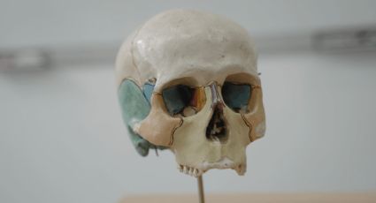 Hallan fósil de cráneo humano que podría cambiar la historia de la evolución