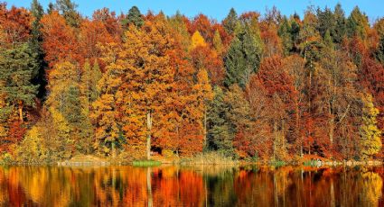 5 Pueblos Mágicos para viajar durante la temporada de otoño