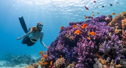 ¿Lo conoces? Este es el Pueblo Mágico de Quintana Roo para nadar con estrellas de mar