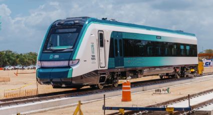 ¡Empleo en el Tren Maya! Requisitos para trabajar con sueldo de 24 mil pesos mensuales