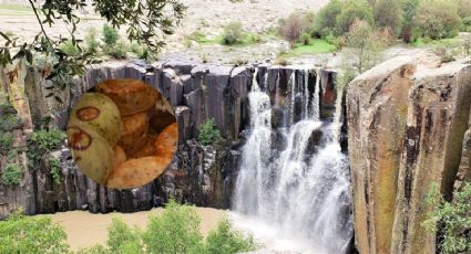 El Pueblo Mágico con cascadas cerca de la CDMX para deleitarte con ricos quesos artesanales