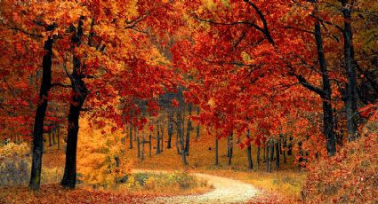 ¿A qué hora llegará el Equinoccio de Otoño y cuándo durará esta época del año?