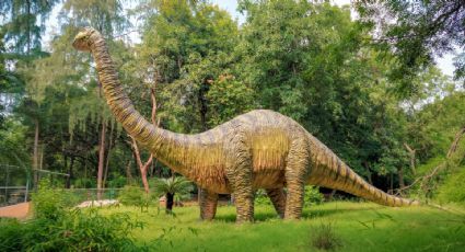 ¿Te los vas a perder? Últimos días para conocer asombrosos dinosaurios en Chapultepec