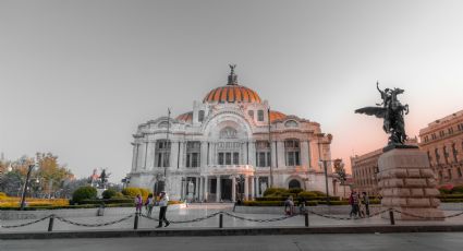 ¿De viaje en la capital? Estos son los sitios de la CDMX afectados por plaga de chinches