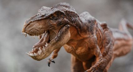 Llega a Querétaro 'Tierra de dinosaurios' para que conozcas al Tiranosaurio rex más grande del mundo